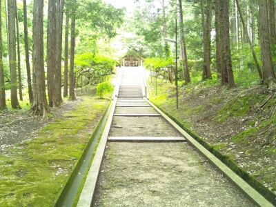 真名井神社の参道