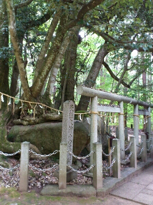 真名井神社の変わった磐座