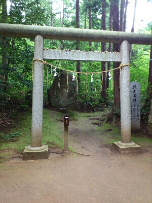 真名井神社の本殿裏の磐座群