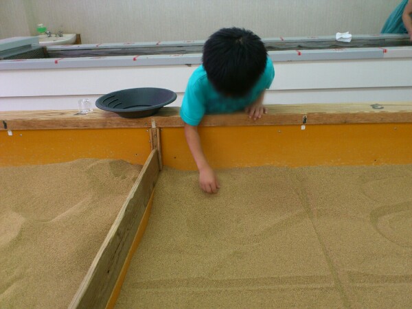 子供がすくい取り体験をしている様子