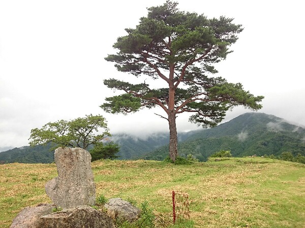 竹田城跡の南千畳