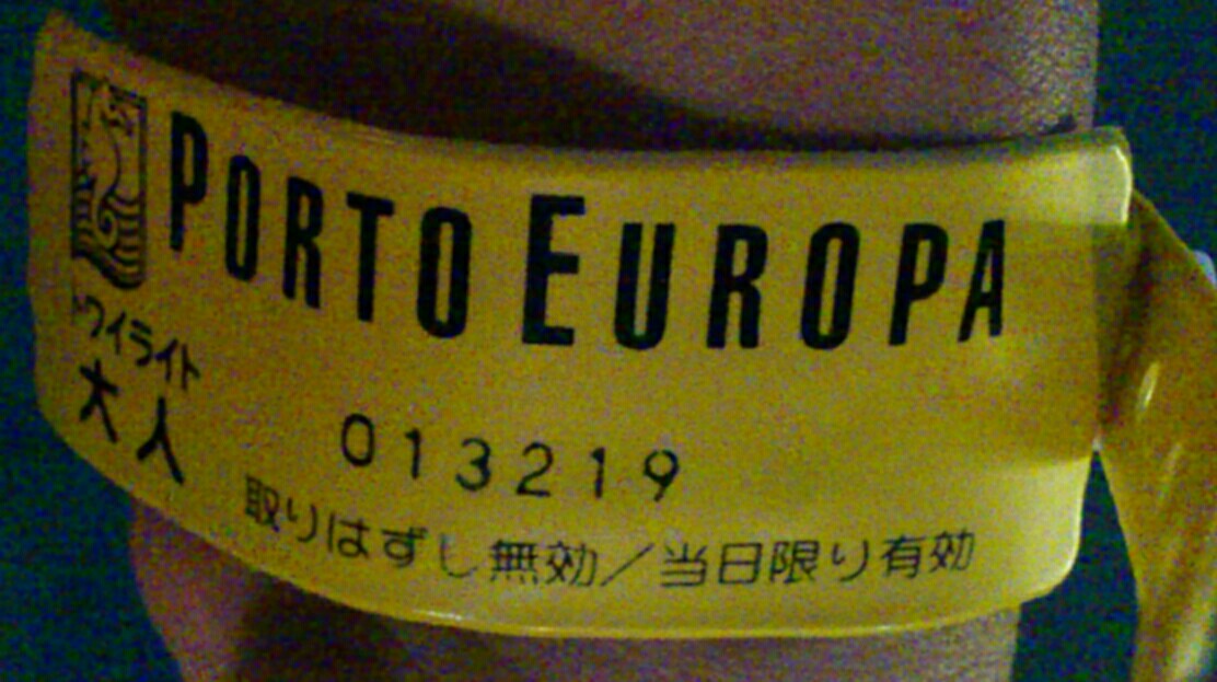 和歌山マリーナシティのトワイライトパスの腕輪