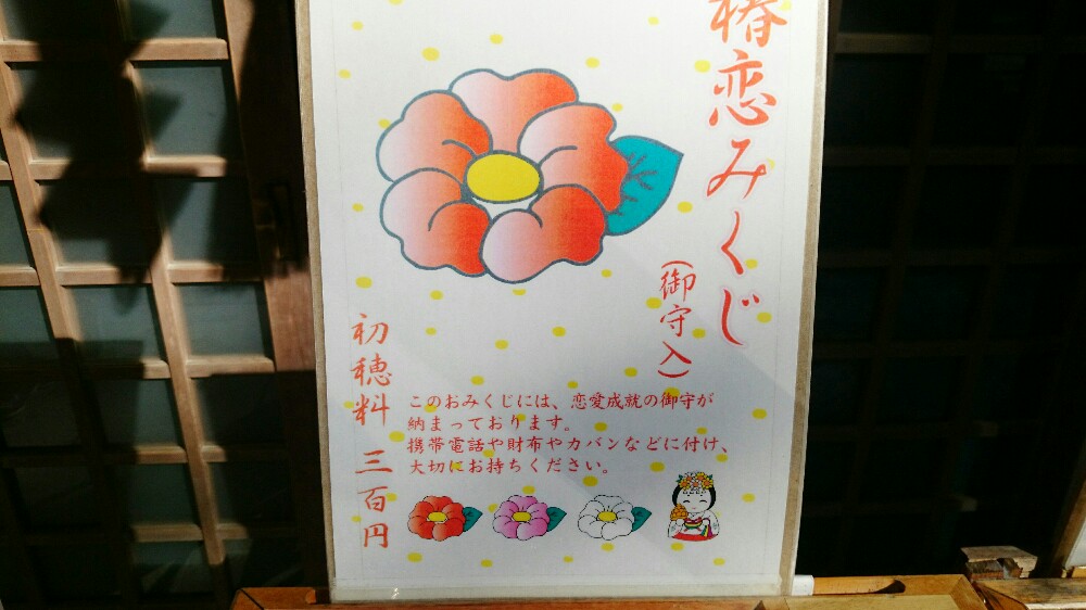 人気の椿恋みくじ