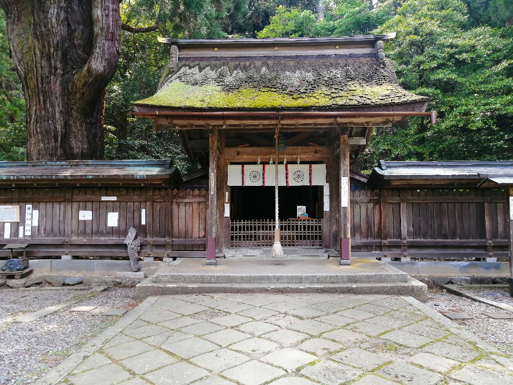 若狭姫神社の拝殿