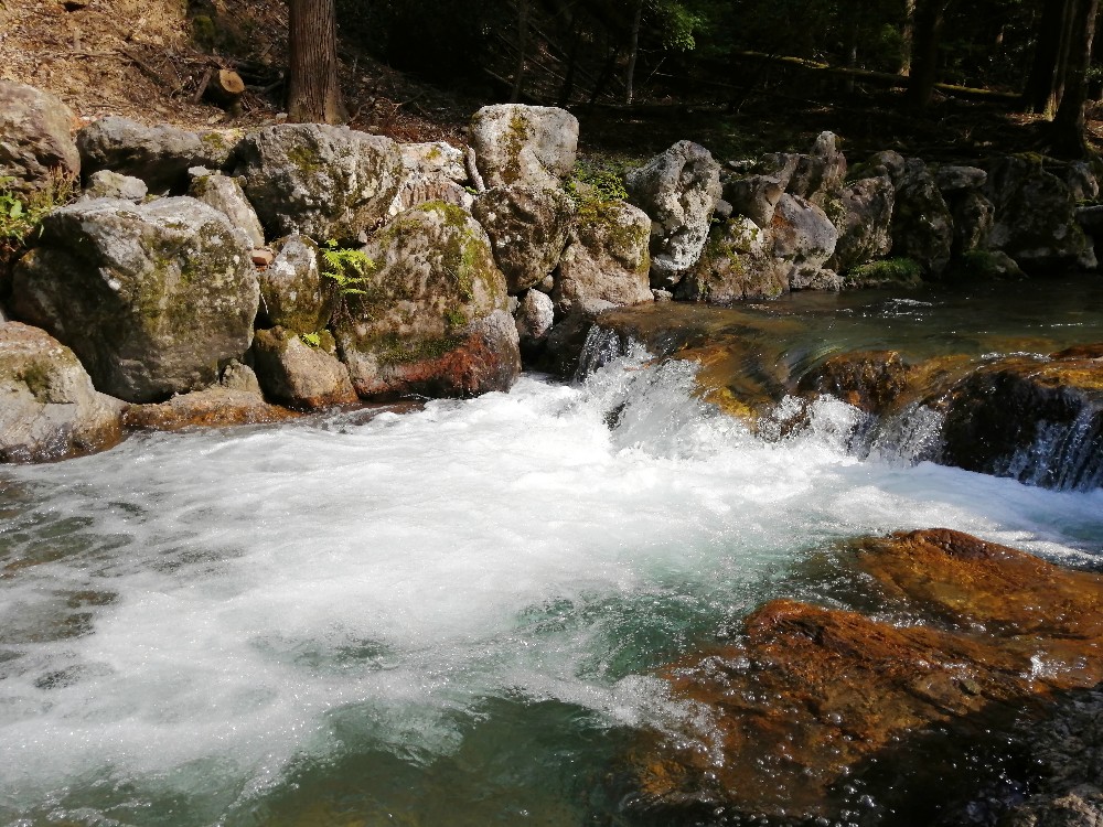 勢いよく水が流れる鵜の瀬の川