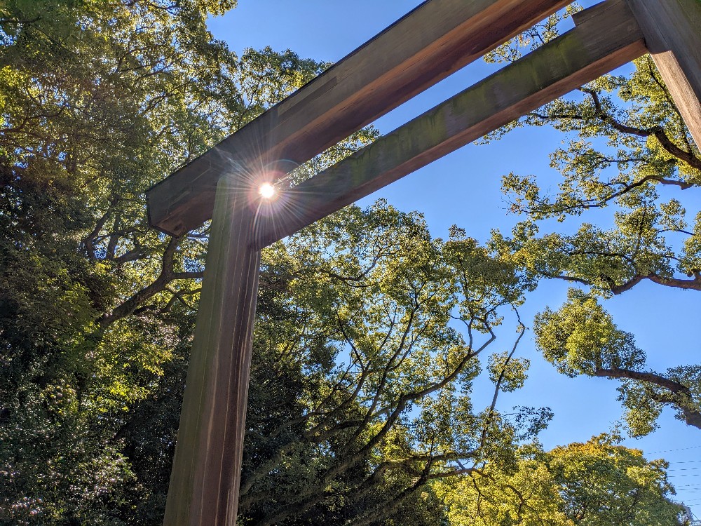 熱田神宮の鳥居の隙間から太陽の光が射す