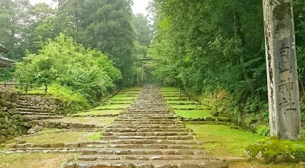 平泉寺白山神社の精進坂(長い階段)
