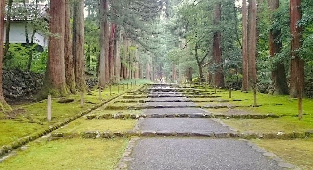 平泉寺白山神社の参道。両端には大きな杉木が立ち並ぶ