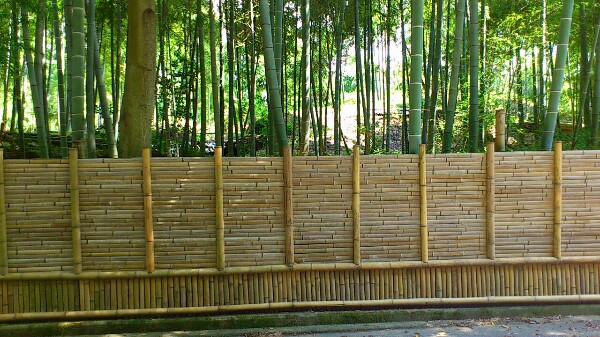 竹の径の物集女垣